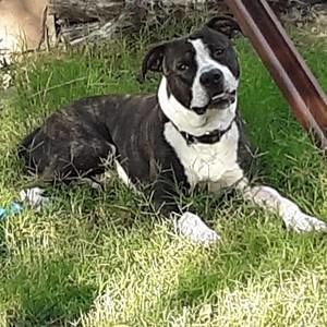 Meet your Posher, Eugene